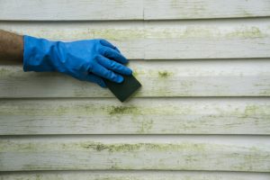 A close-up picture of a hand scrubing off mold from their house siding