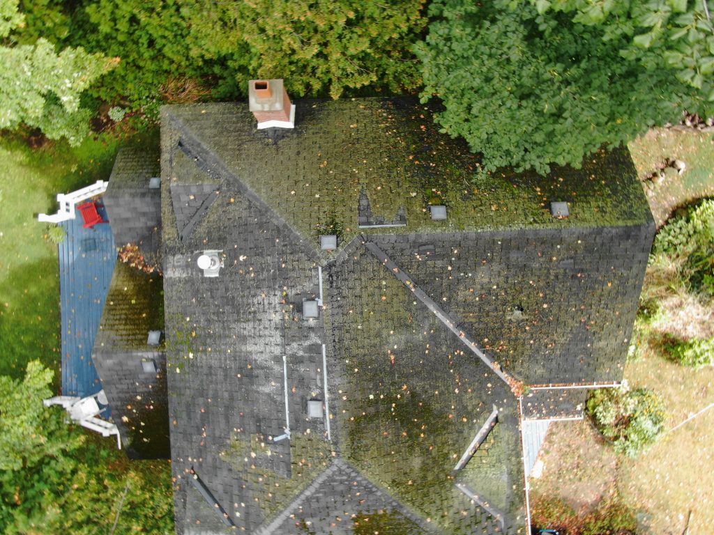 signs you need a roof replacement Collingwood