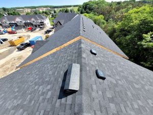 photo of roof from above