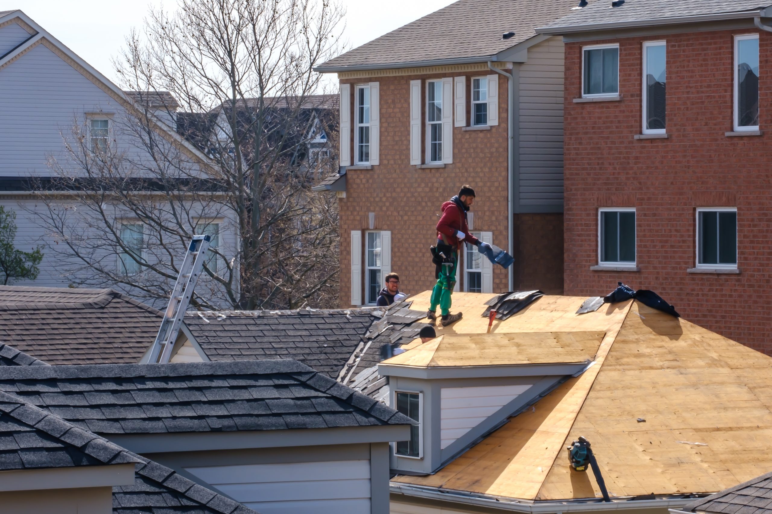 collingwood roofers