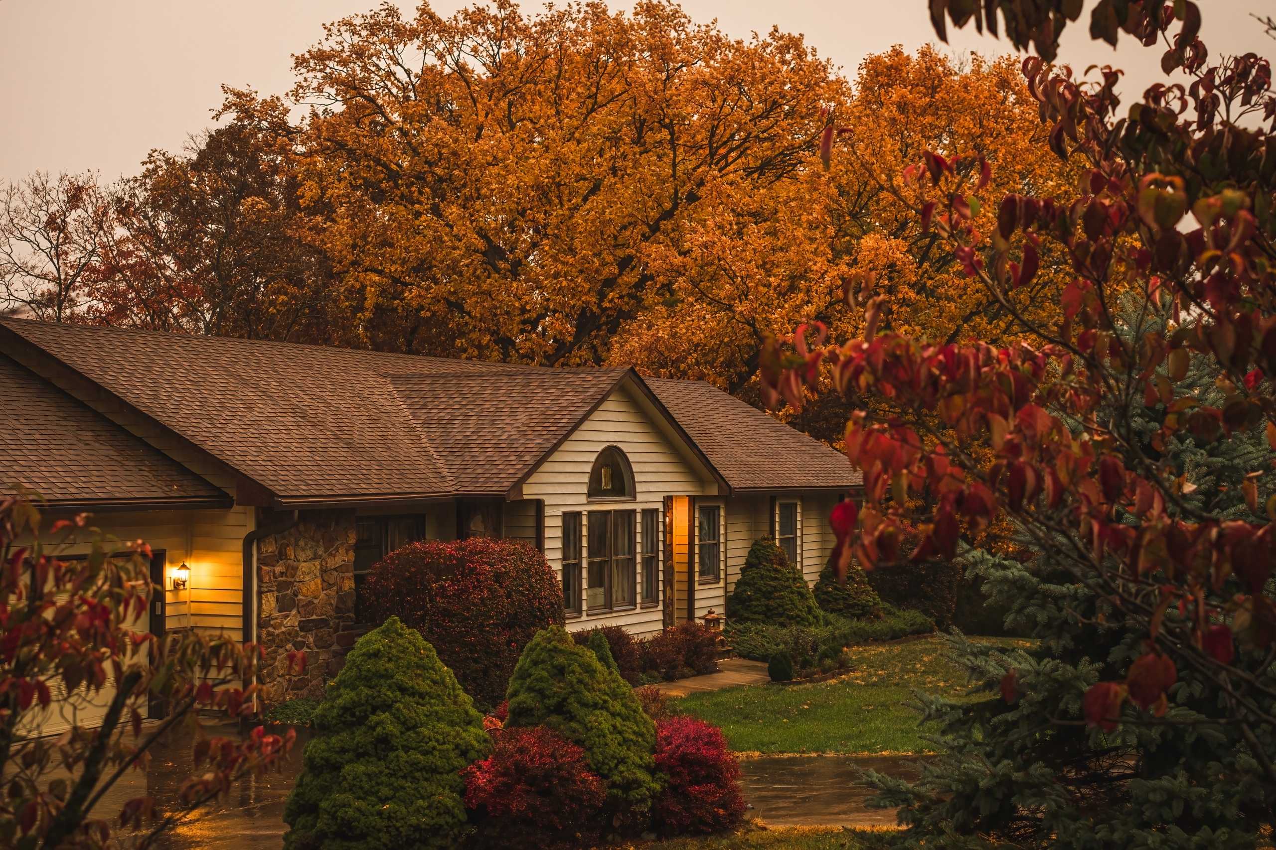 Roof repair in Collingwood by professional reroofing contractor