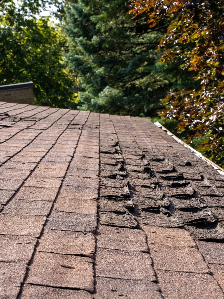 damaged shingles in need of repair