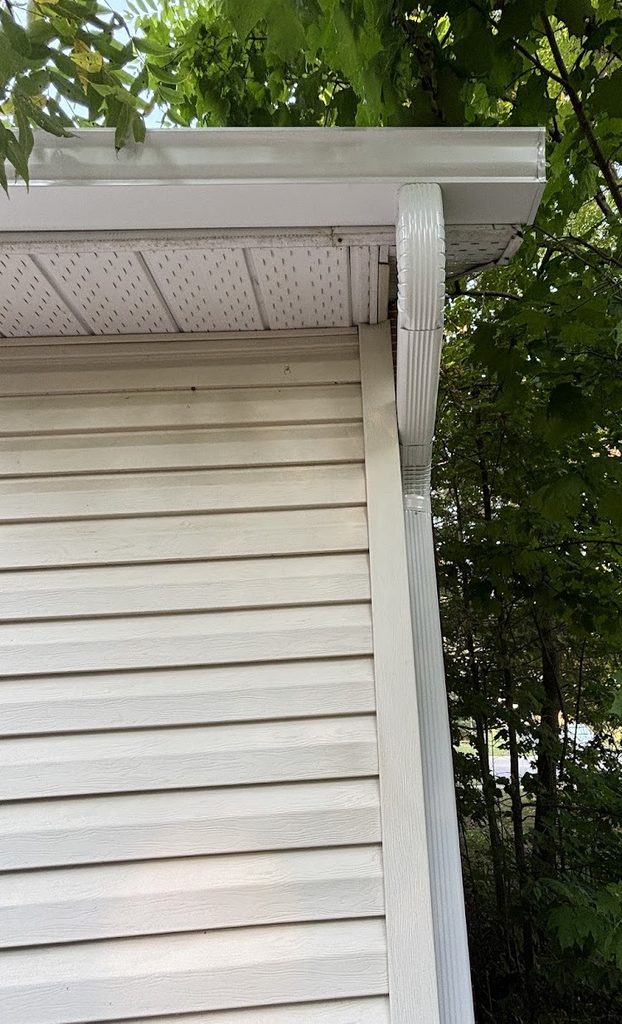 eavestrough Problems In Bracebridge